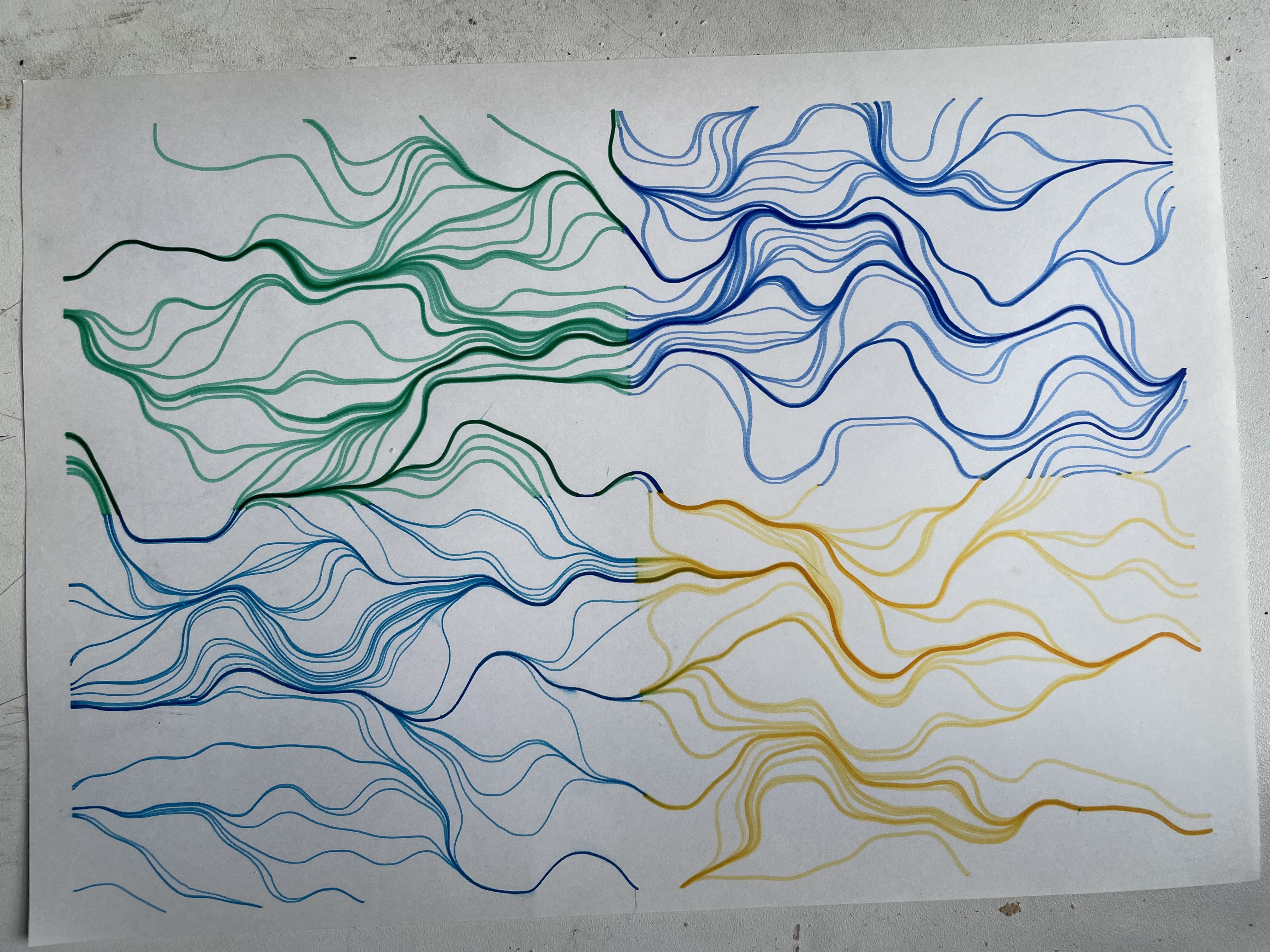 Photo of Warhols Flowfield